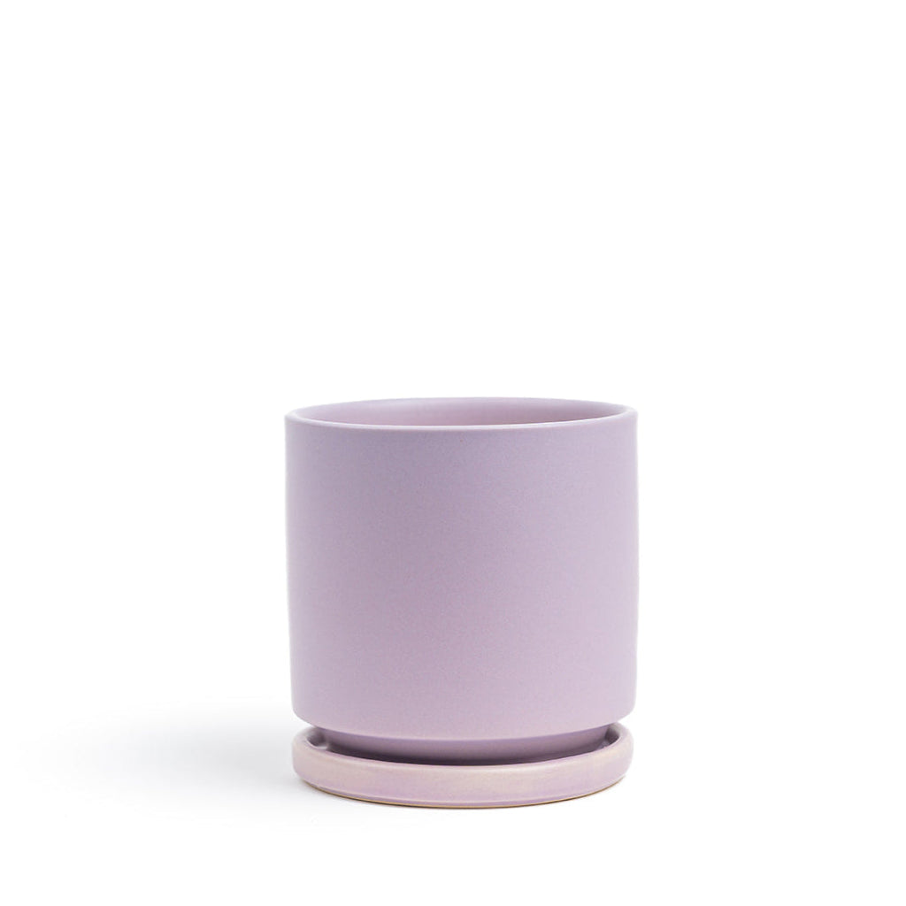 Momma Pot - 6.5"
