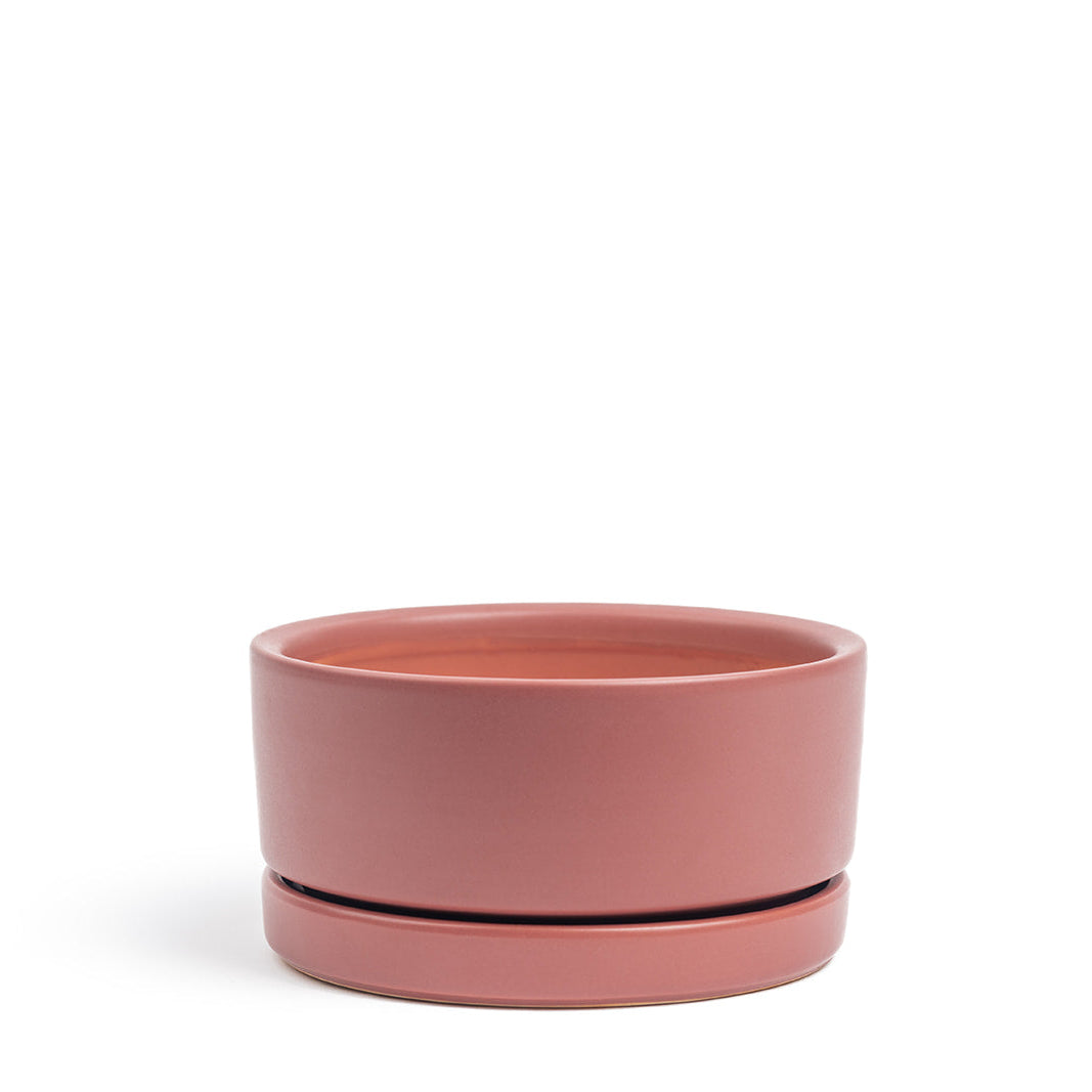 Momma Pot  - Low Bowl - 6"