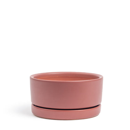 Momma Pot  - Low Bowl - 6"