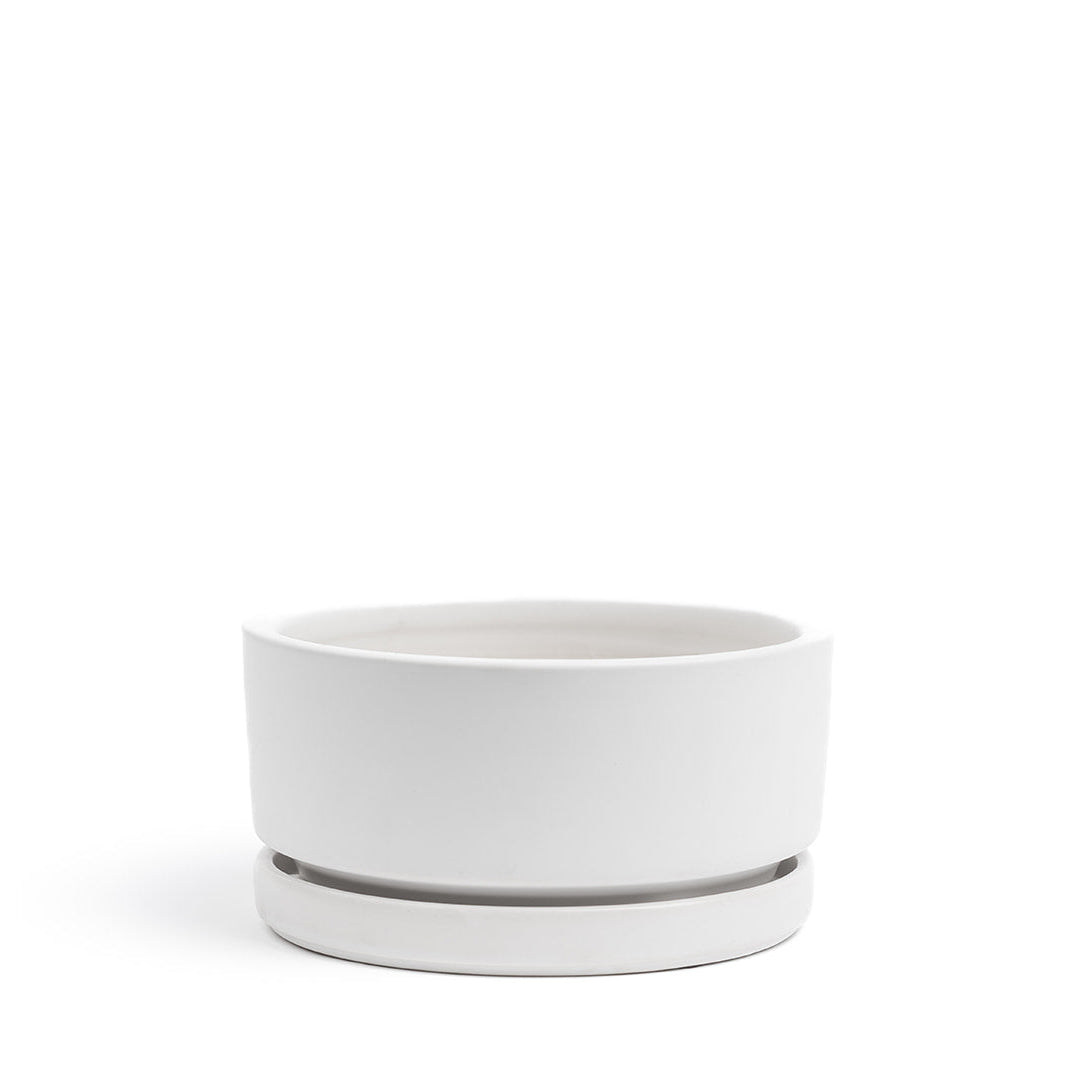 Momma Pot  - Low Bowl - 6"