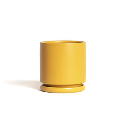 Momma Pot - 4.5"
