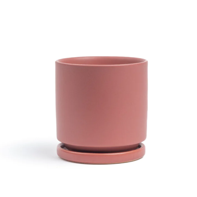 Momma Pot - 6.5"
