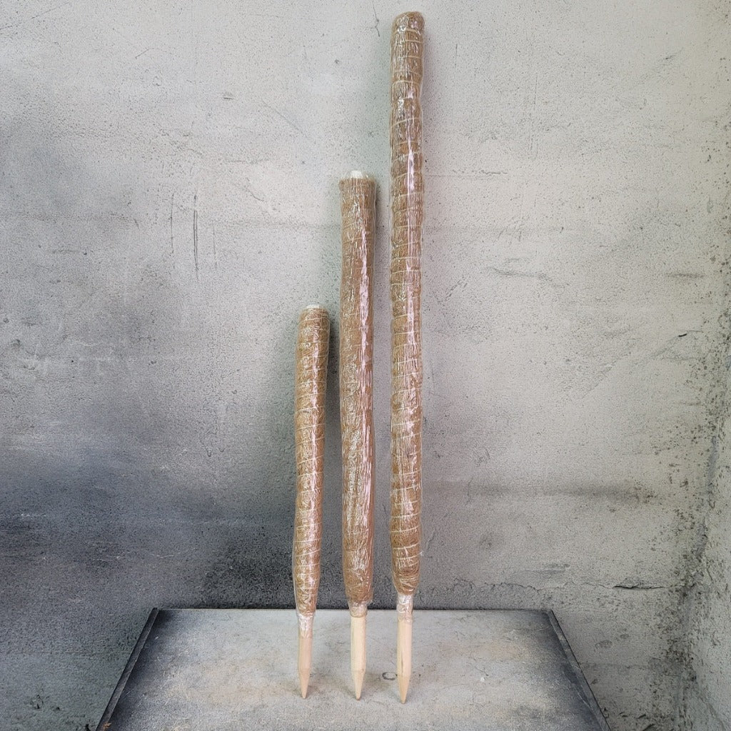 PLANT SUPPLIES - Coir Moss Pole - 48"