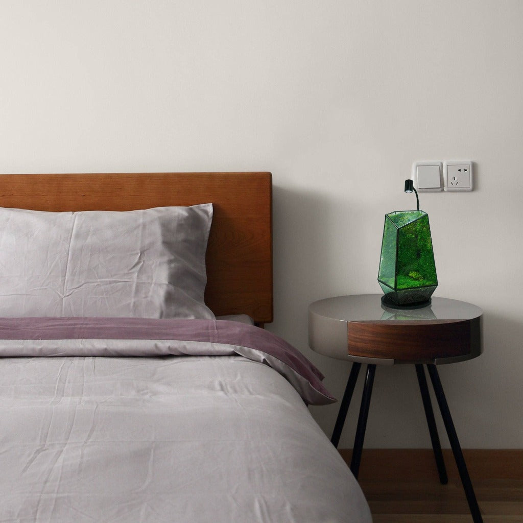 PLANT SUPPLIES - HIRO Aquatics MINI Aquarium Spotlight