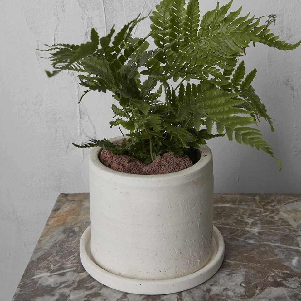 PLANTERS - Easton Planter - 5.5" White