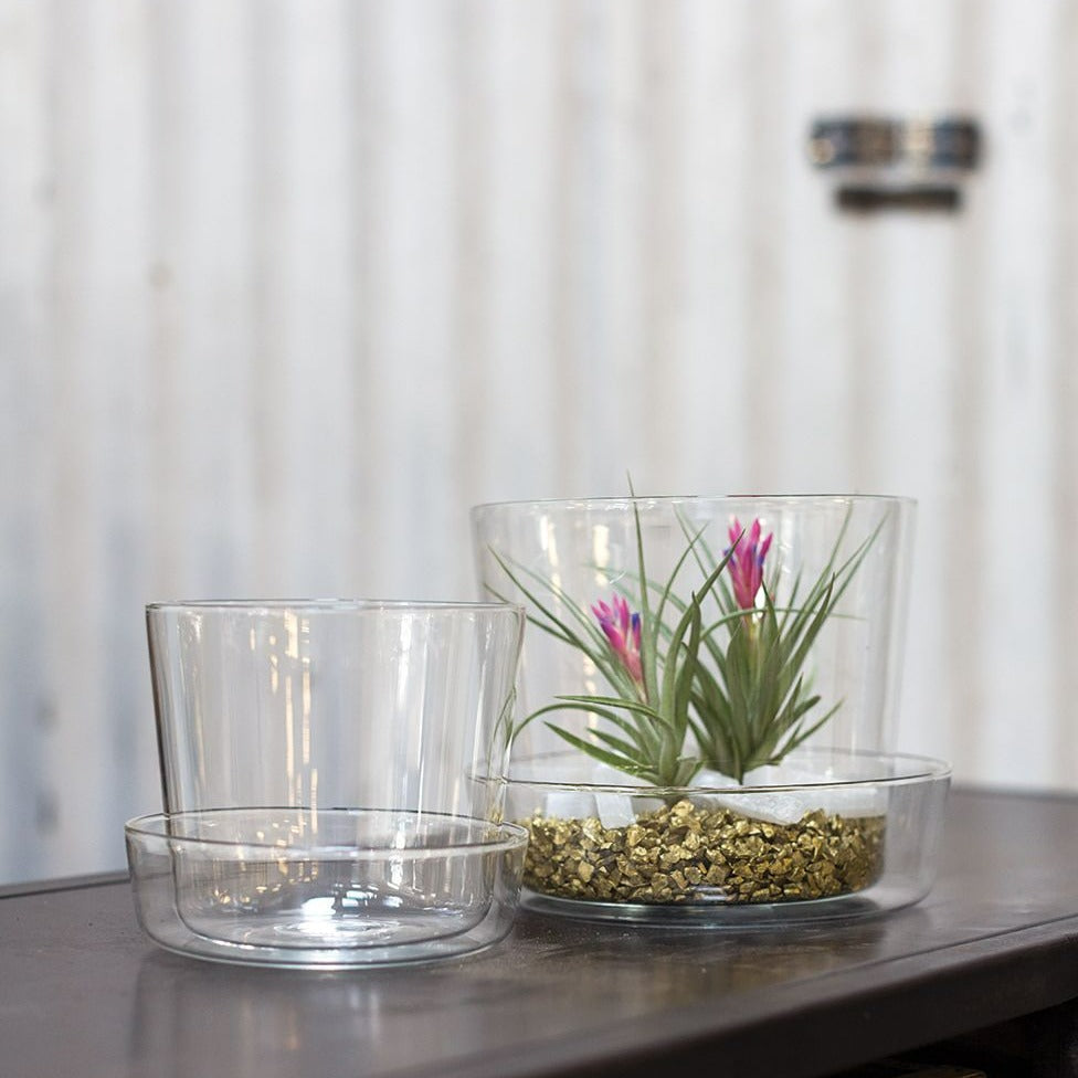 Glass Planter with saucer - 4.75