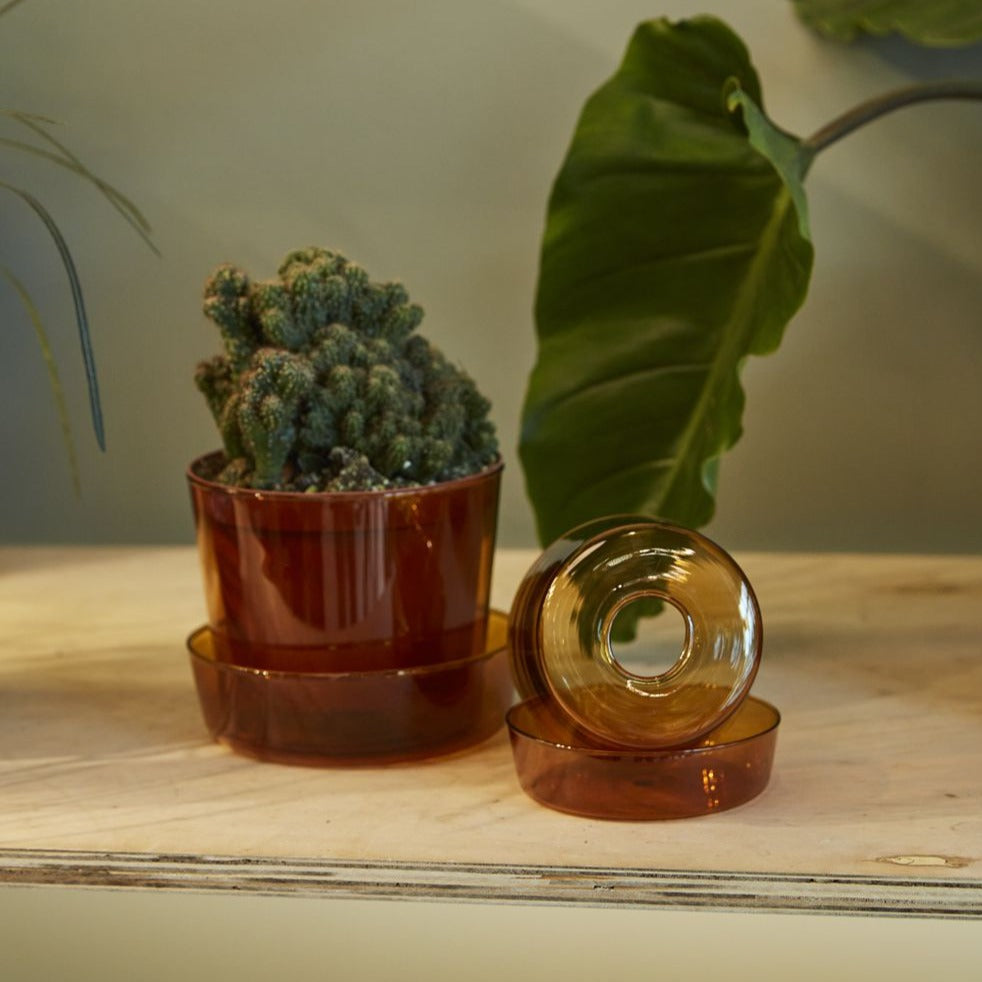 PLANTERS - Glass Pot With Saucer - 6.25