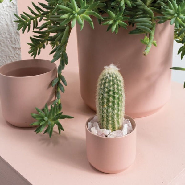 kendall plant pot Kendall Pot