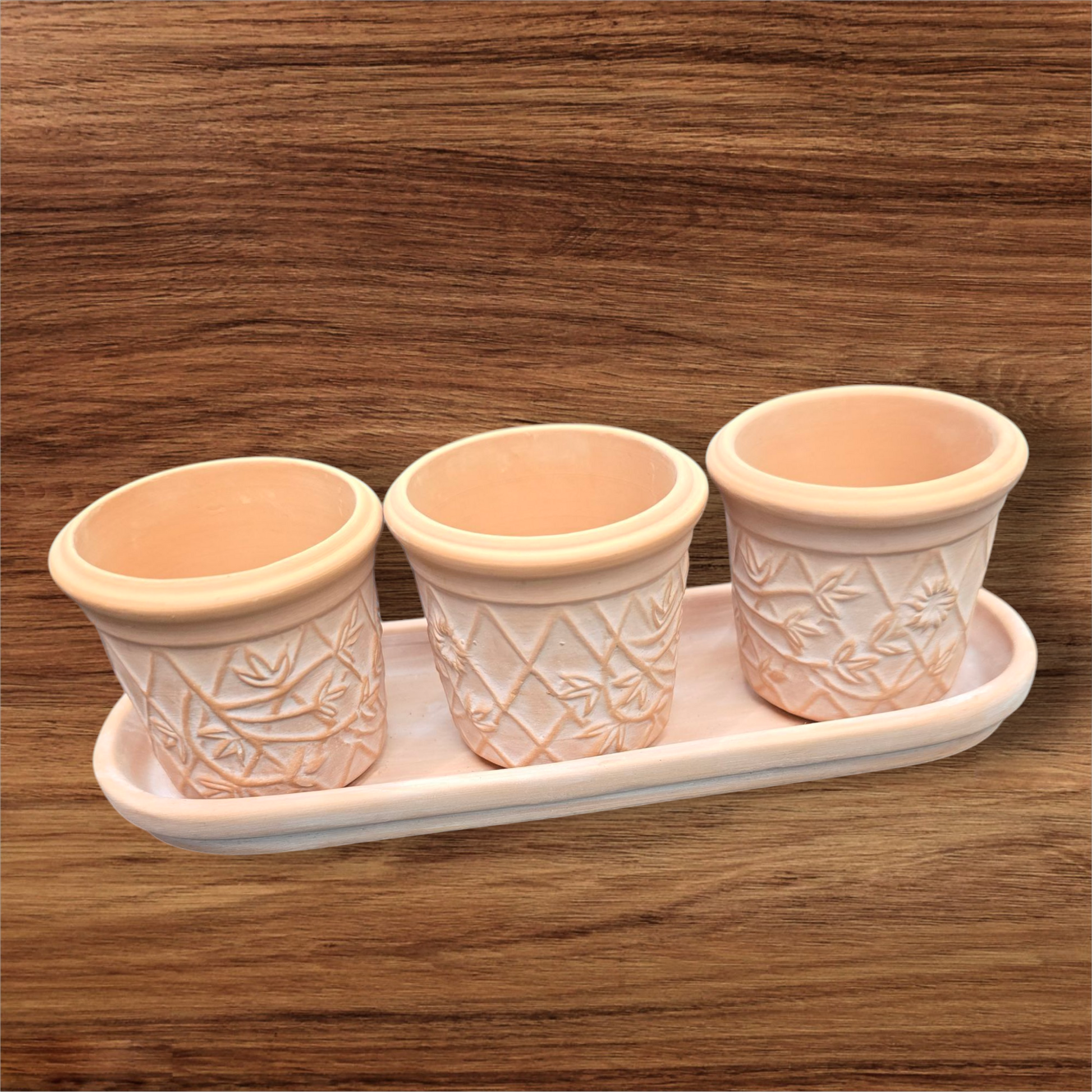 PLANTERS - Mini Terra Cotta Pots - Set Of 3