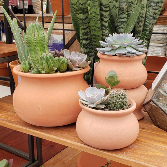 PLANTERS - Wash Pot - 10"