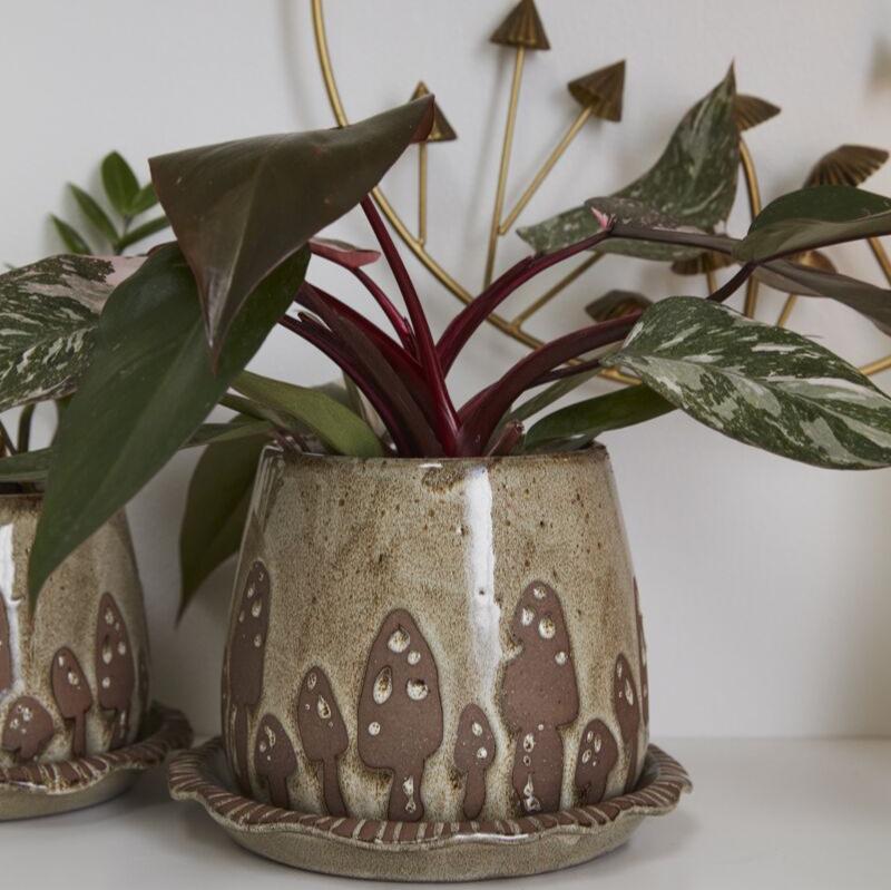 Wild Mushroom Pot - 7.75