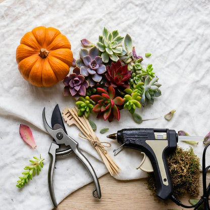 Pumpkin/Succulent Decorating Workshop - Nov 14th (Saturday)