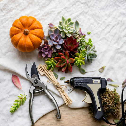 Pumpkin/Succulent Decorating Workshop - Nov 14th (Saturday)