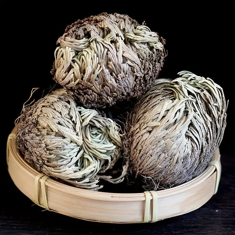 Rose of Jericho