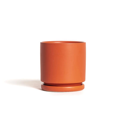 Momma Pot - 4.5"