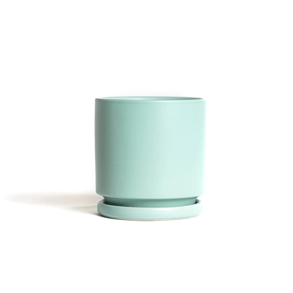 Momma Pot - 4.5"