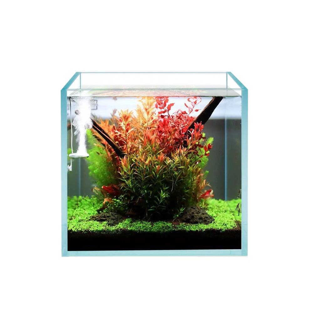 Terrarium Glass - Peace, Love & Happiness Club