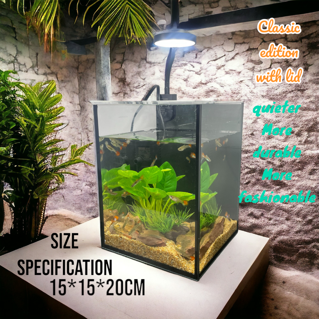 Mini Aquarium Kit