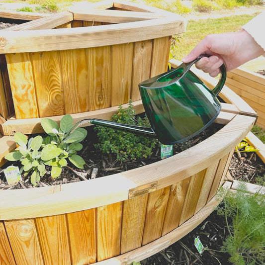 Translucent watering can - 1.4L