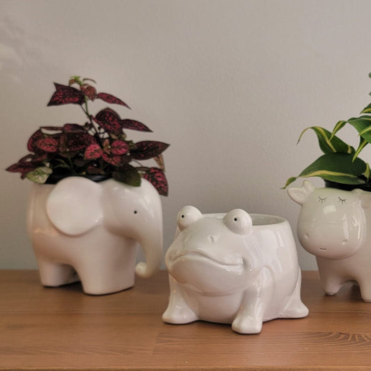 Ceramic Animals Planter (white) - 5"