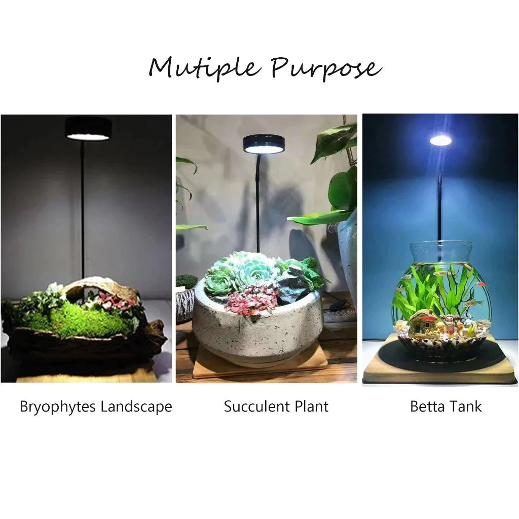 PLANT SUPPLIES - SPOTLIGHT W/BAMBOO STAND - 12W