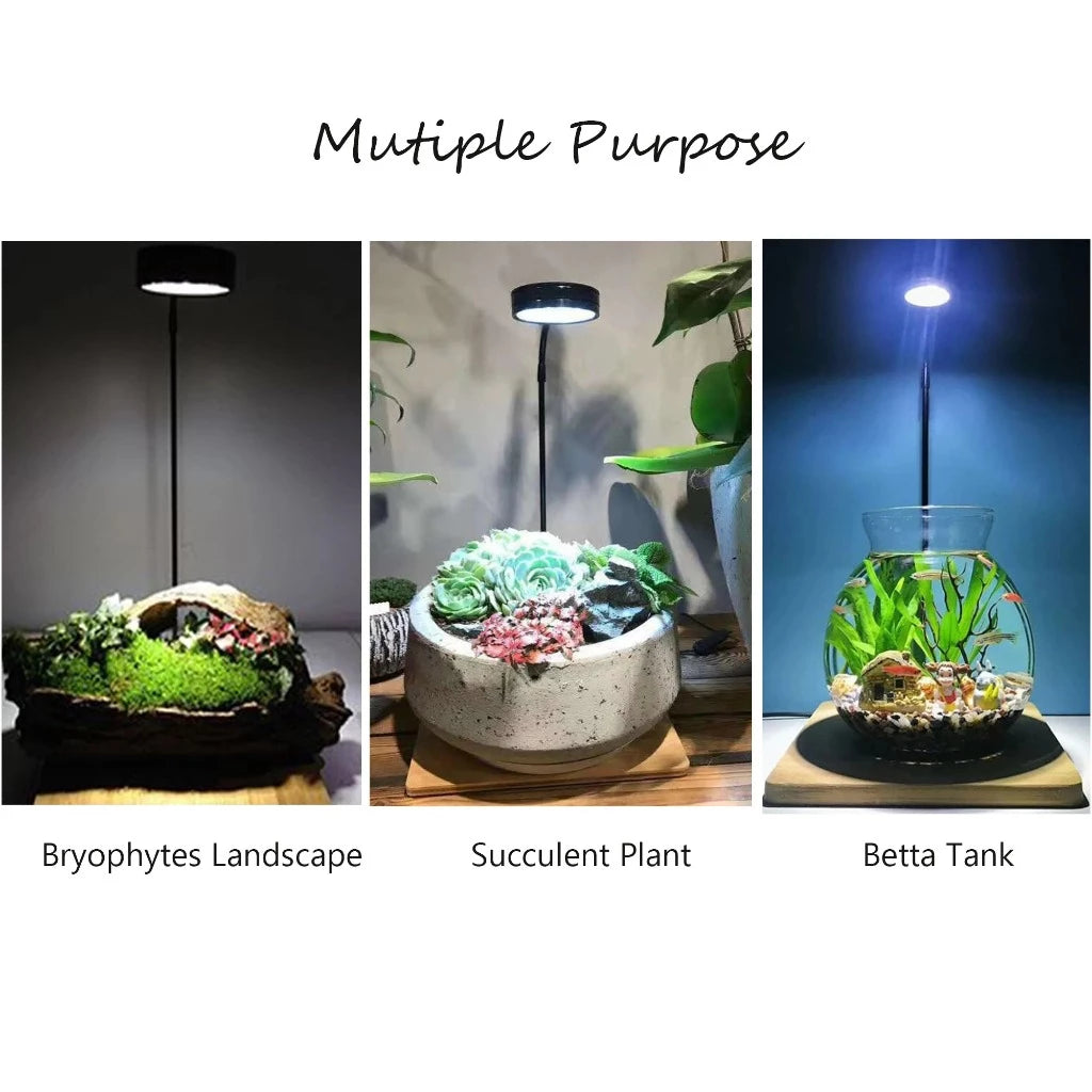 PLANT SUPPLIES - SPOTLIGHT W/BAMBOO STAND